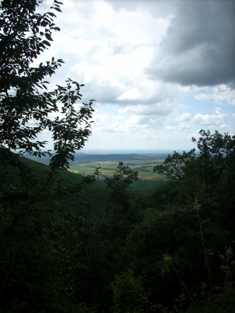 dscn1211